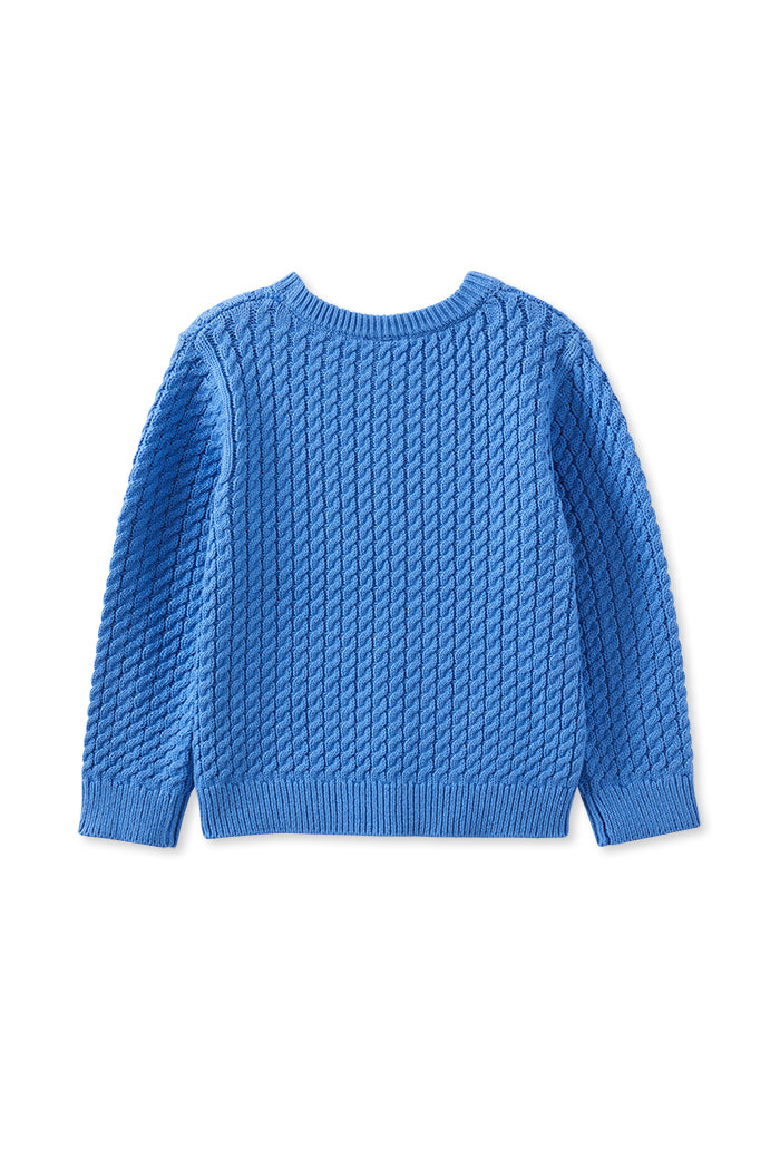 Blue Cable Knit Jumper