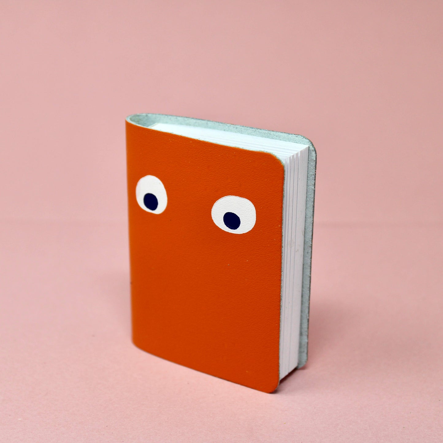 Googly Eye Mini Leather Notebook