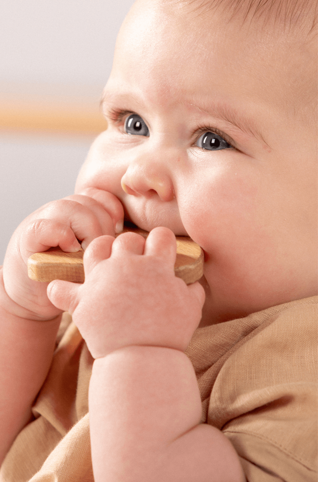 Wooden Triangle Teether