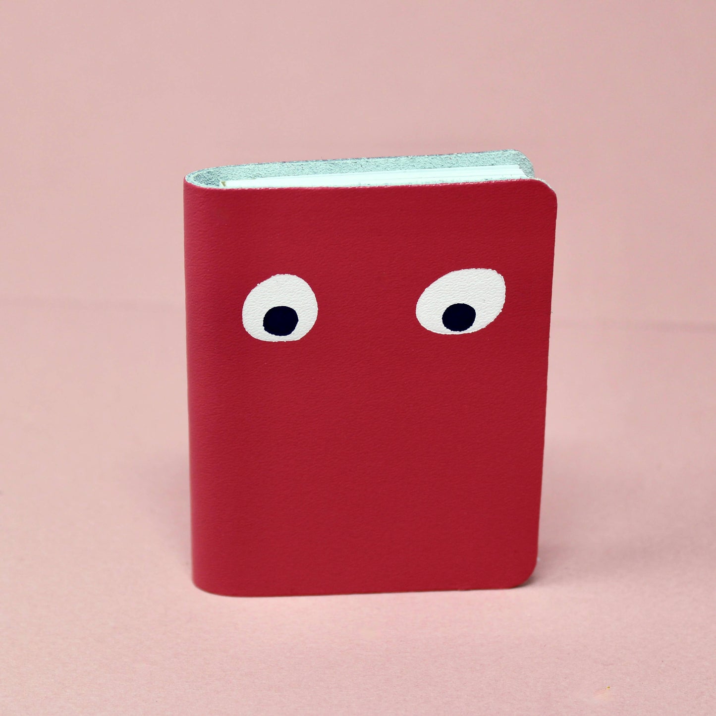 Googly Eye Mini Leather Notebook