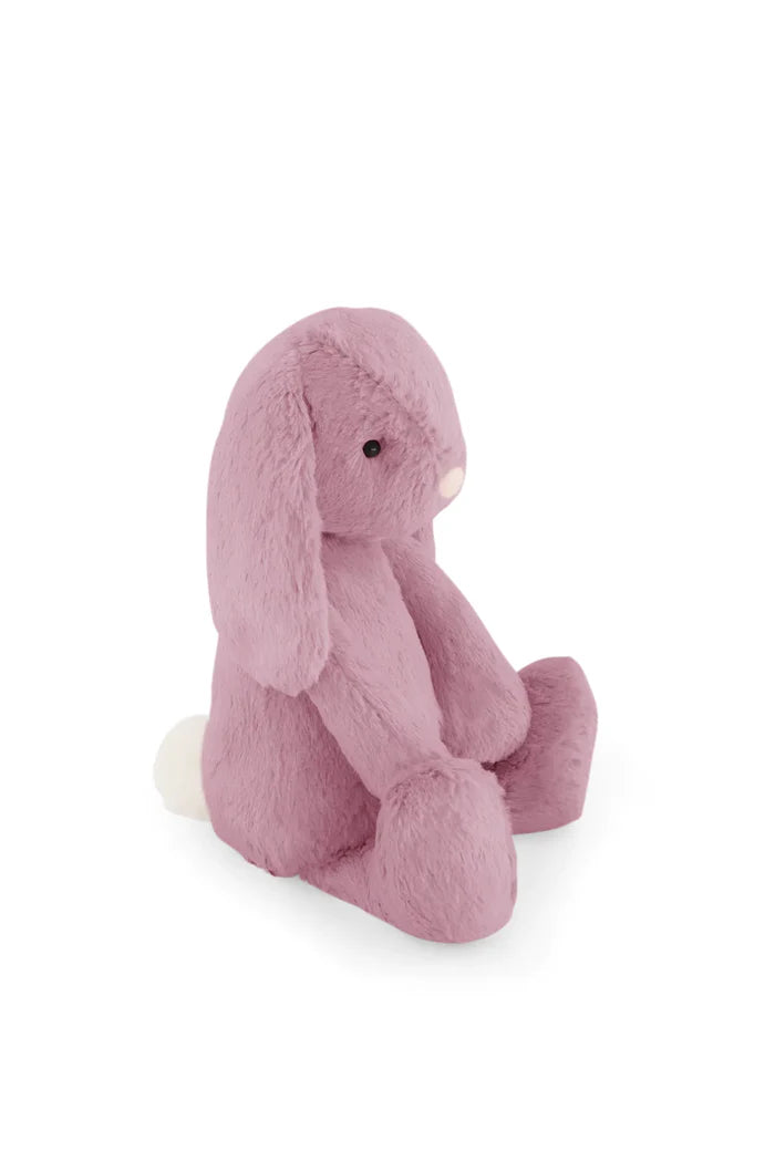 Penelope the Bunny - Lilium